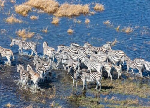 Tanzania Safari & Zanzibar: How to Combine Safari and Beach